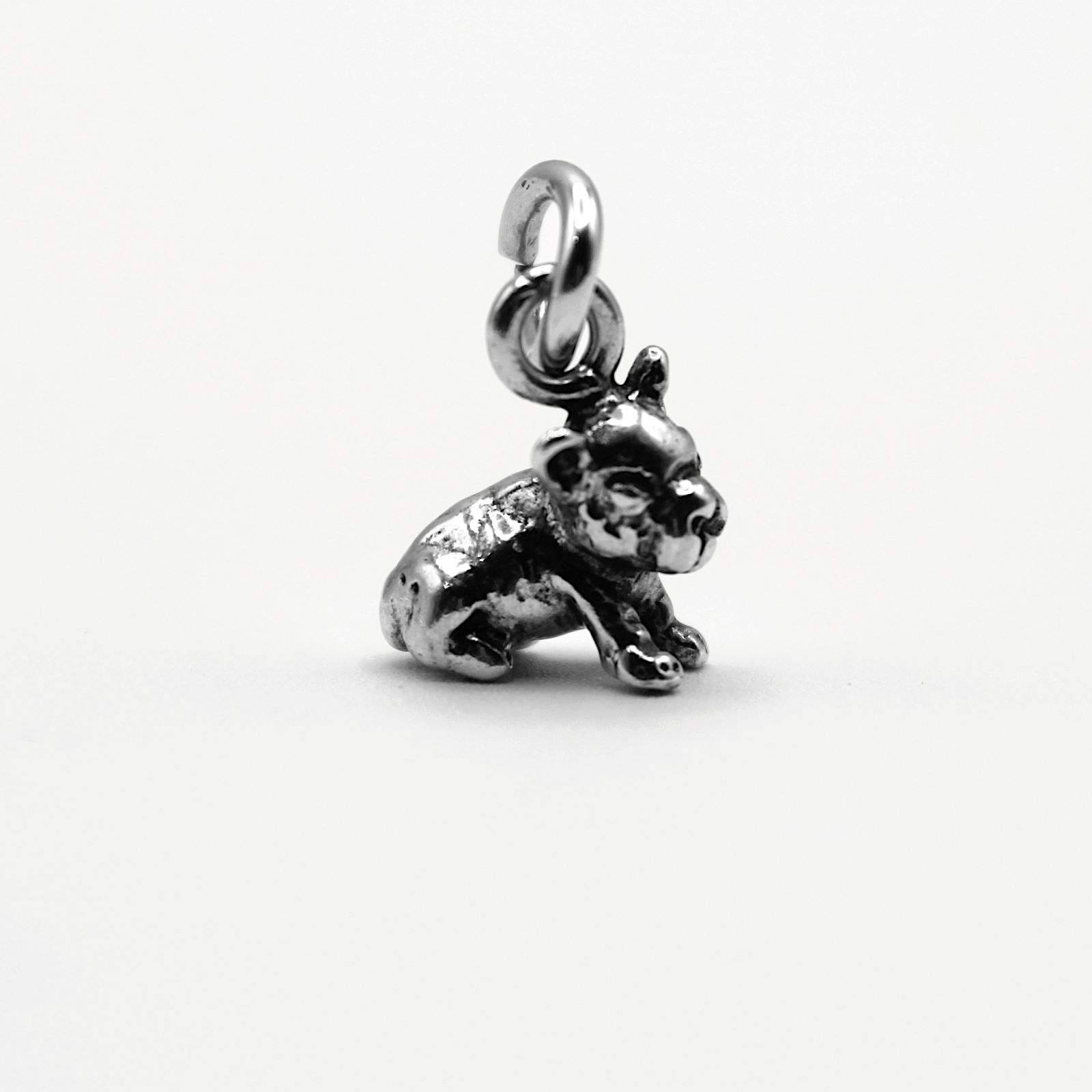 bulldog francese_4